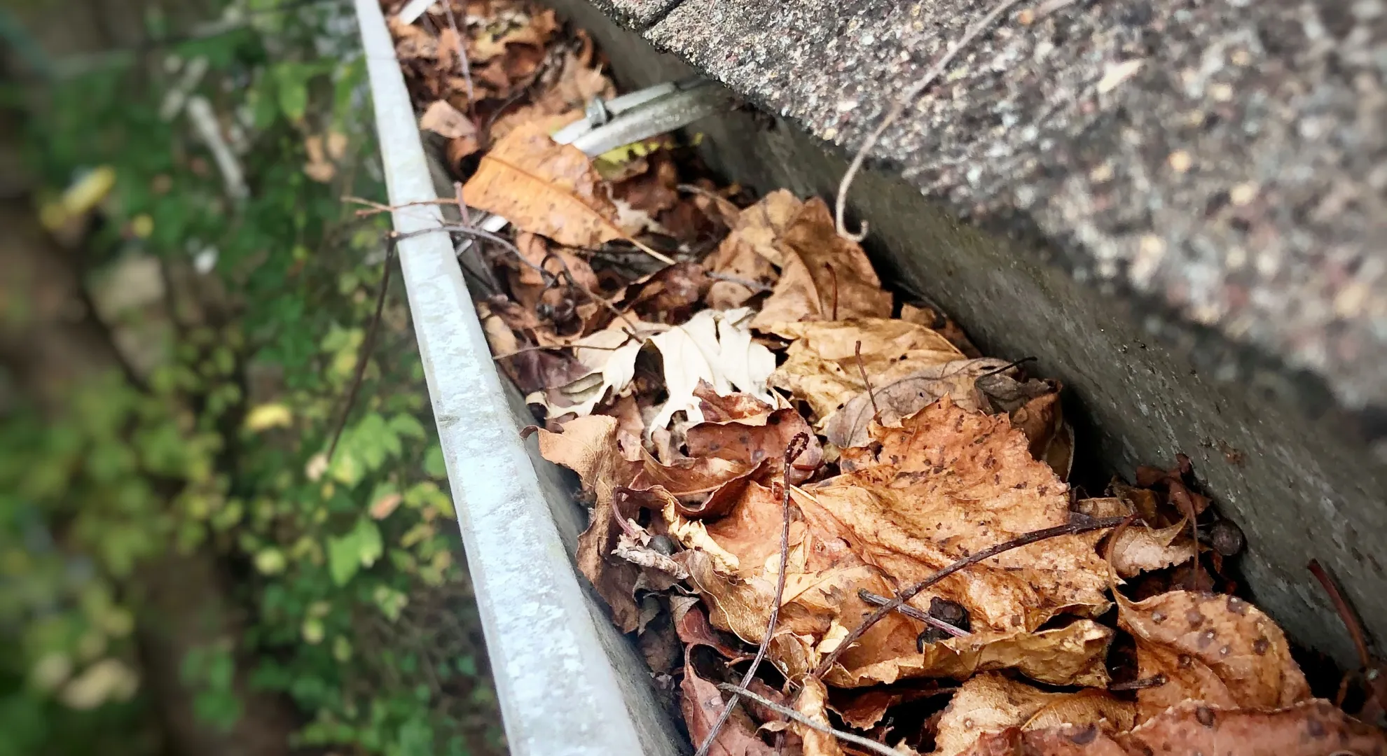 Detailed roof inspection showing shingle condition assessment for maintenance planning